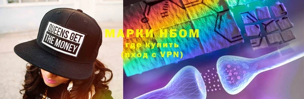 гашик Дмитриев
