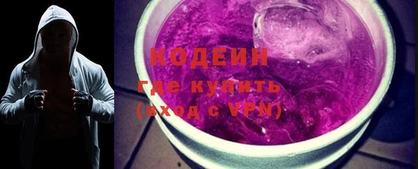 гашик Дмитриев