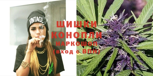 гашик Дмитриев