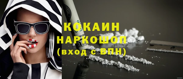гашик Дмитриев