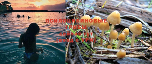 гашик Дмитриев