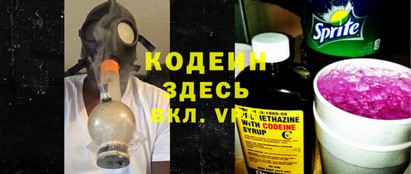 гашик Дмитриев