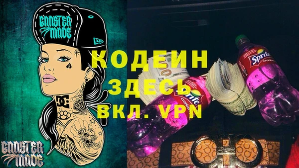 гашик Дмитриев