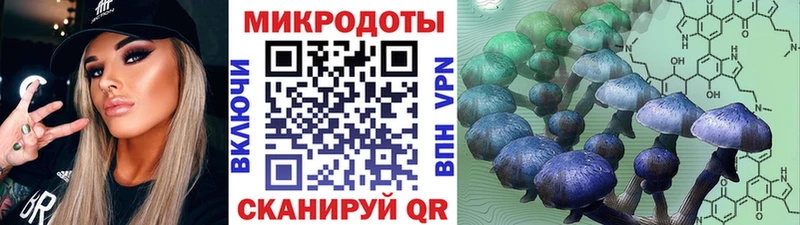 Купить  Агрыз  Псилоцибиновые грибы Magic Shrooms 